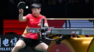 一日四赛全胜 樊振东获留洋生涯首冠